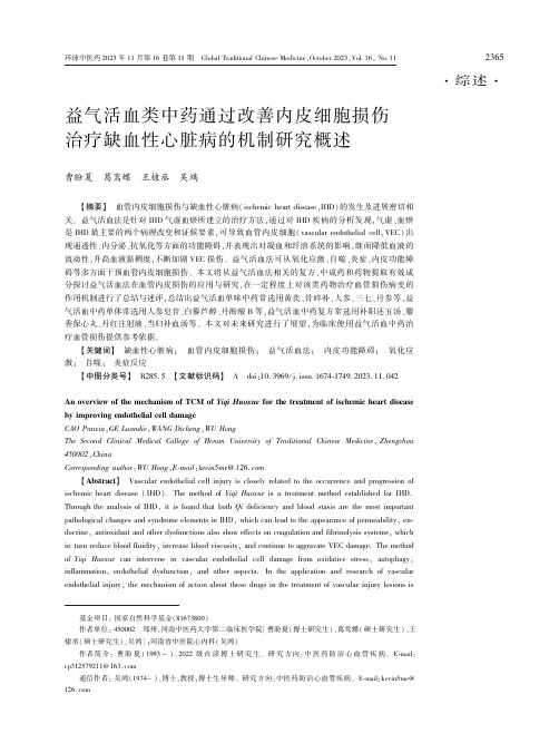 益气活血类中药通过改善内皮细胞损伤治疗缺血性心脏病的机制研究概述