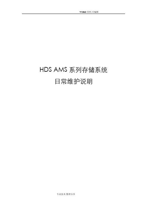 HDS存储系统的维护