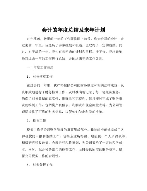 会计的年度总结及来年计划