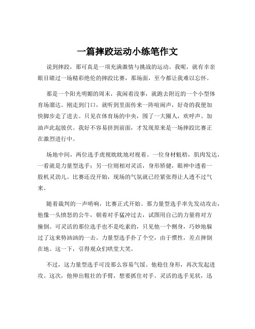 一篇摔跤运动小练笔作文