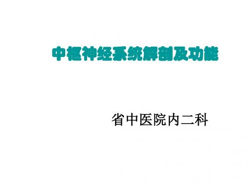 中枢神经系统解剖及功能ppt课件 PPT资料共117页