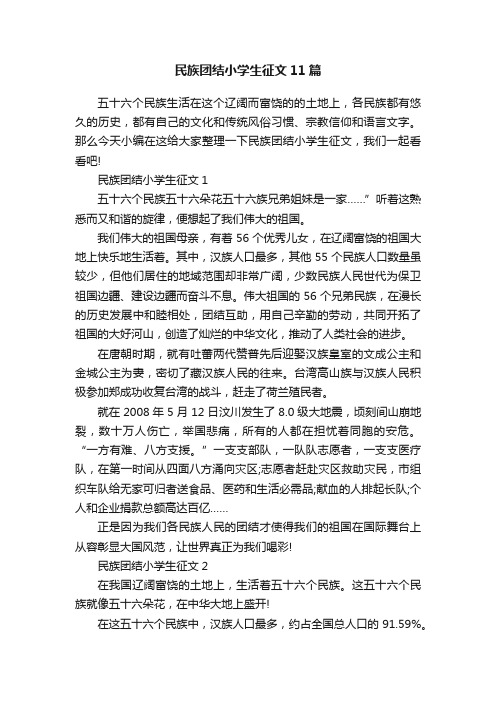 民族团结小学生征文11篇