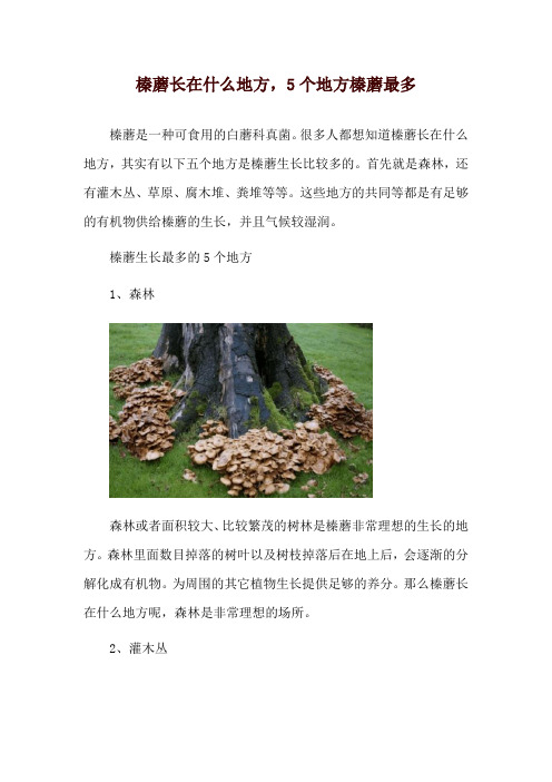 榛蘑长在什么地方,5个地方榛蘑最多