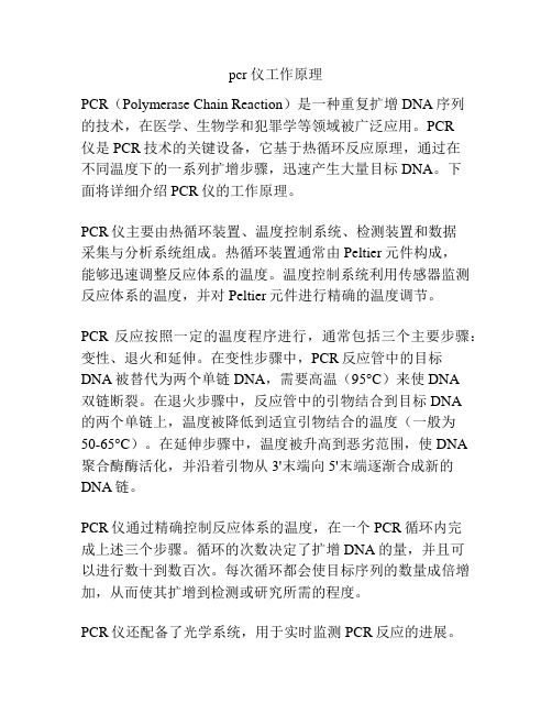 pcr 仪工作原理