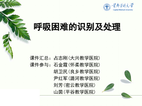 最新精品课件呼吸困难的识别和处理