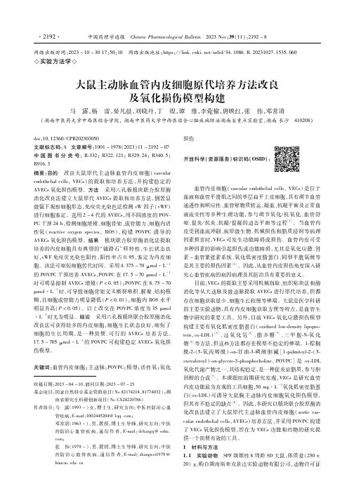 大鼠主动脉血管内皮细胞原代培养方法改良及氧化损伤模型构建