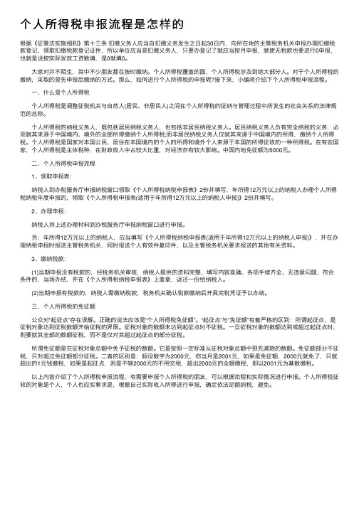 个人所得税申报流程是怎样的