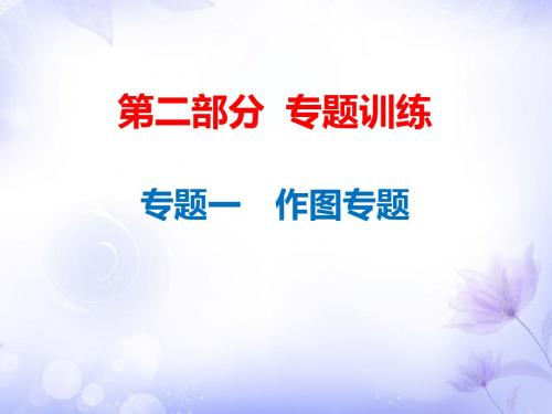 2019年中考物理总复习课件：专题一 作图专题(共77张PPT)