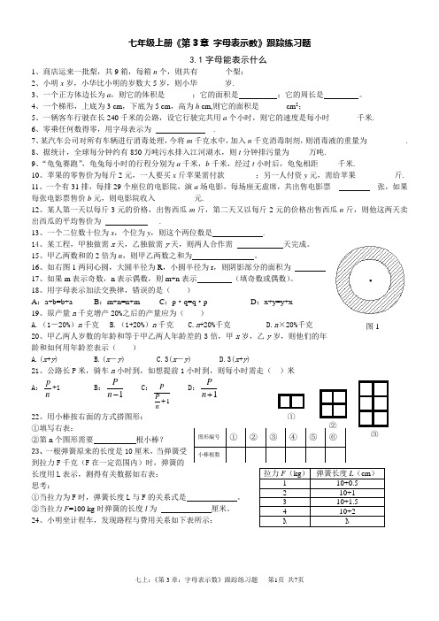 七上：第3章《字母代表数》跟踪练习题共6页