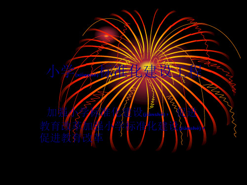 小学规范化建设工程(PPT)