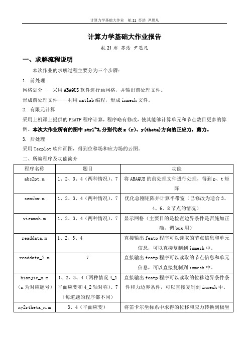 计算力学大作业报告