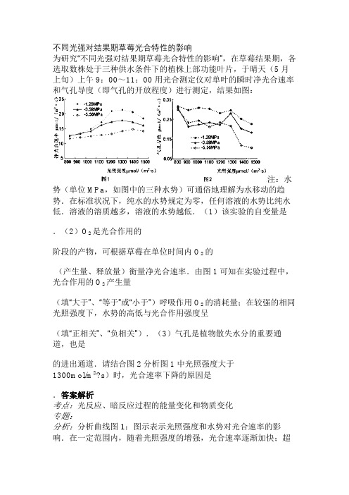 不同光强对结果期草莓光合特性的影响