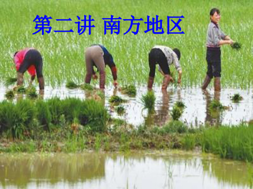 中国地理南方地区