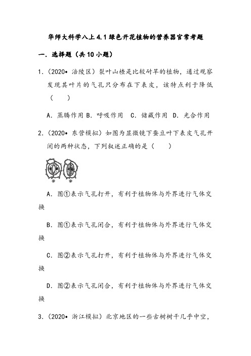 华师大科学八上4.1绿色开花植物的营养器官常考题