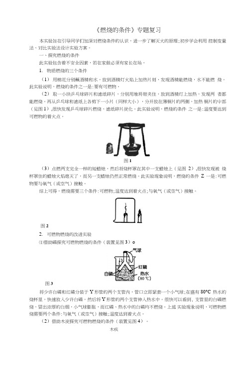 中考化学复习指导：《燃烧的条件》专题复习.doc