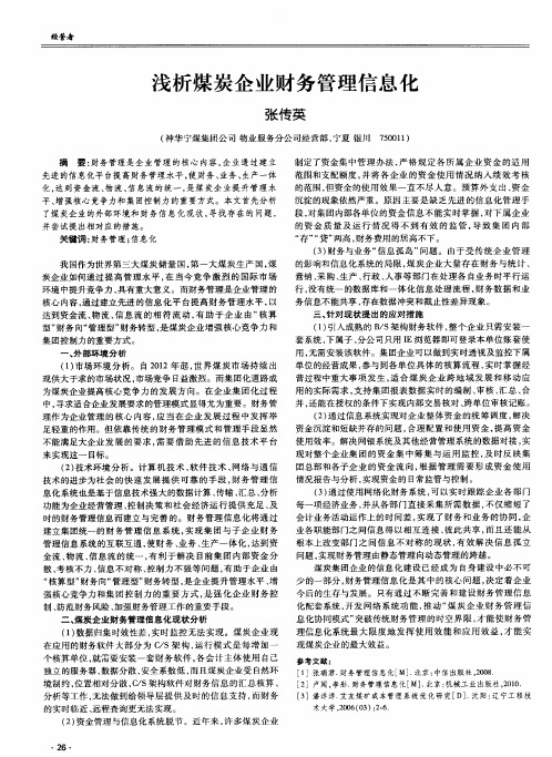 浅析煤炭企业财务管理信息化