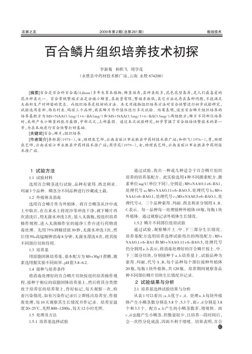 百合鳞片组织培养技术初探.caj