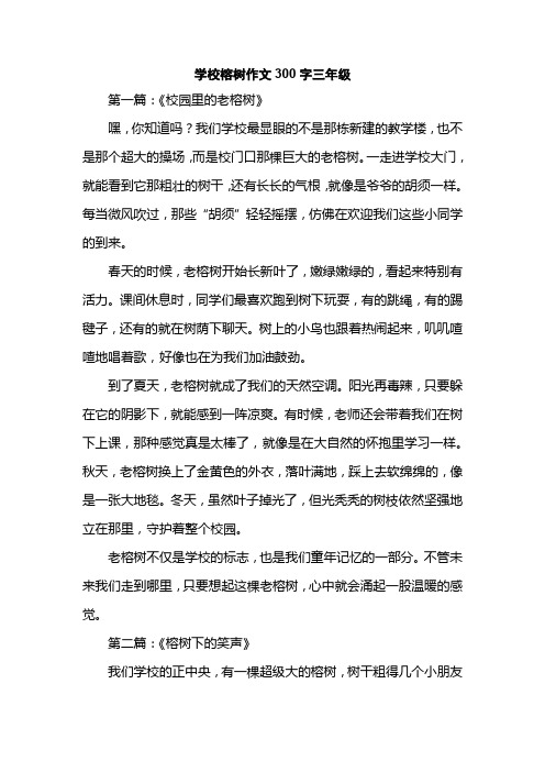 学校榕树作文300字三年级