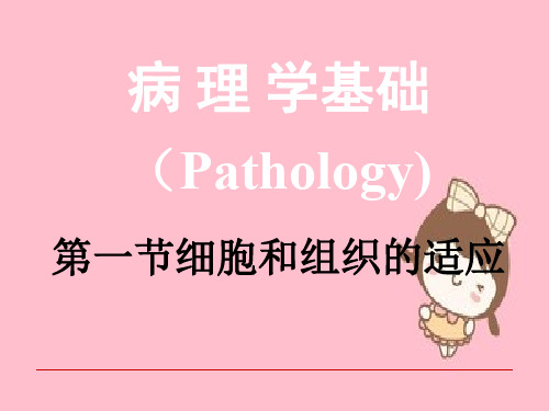 病理学基础(Pathology) 第一节细胞和组织的适应