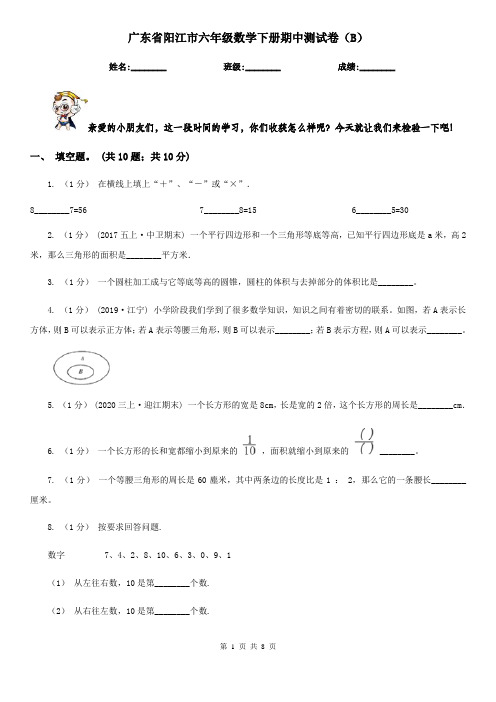 广东省阳江市六年级数学下册期中测试卷(B)