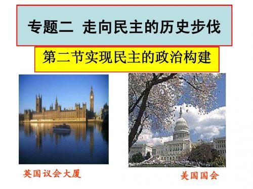 实现民主的政治构建讲课版