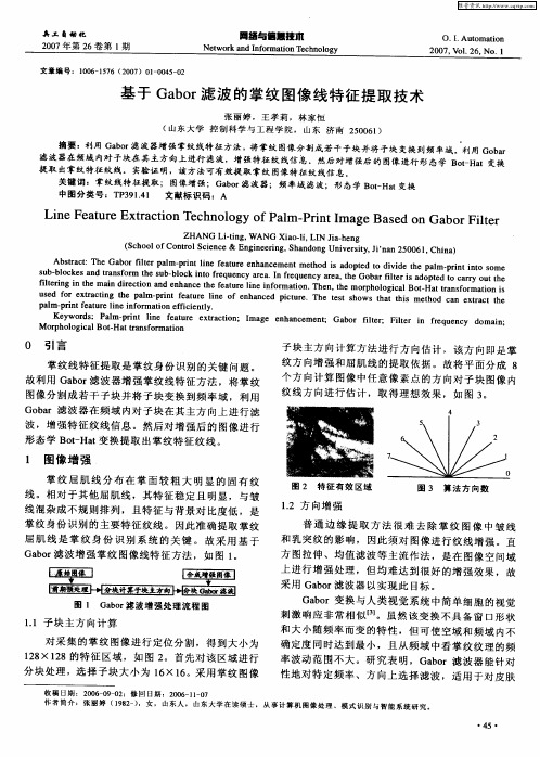 基于Gabor滤波的掌纹图像线特征提取技术