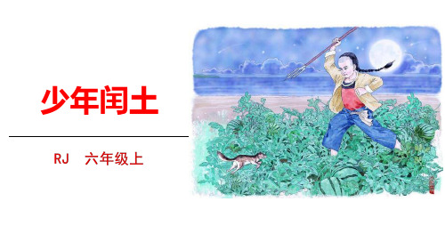 《少年闰土》语文教学PPT课件(3篇)