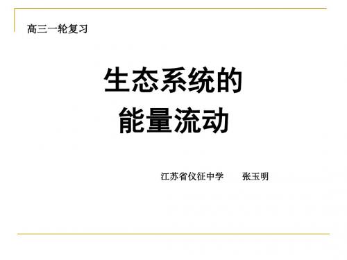 生态系统的能量流动 PPT课件24 人教课标版