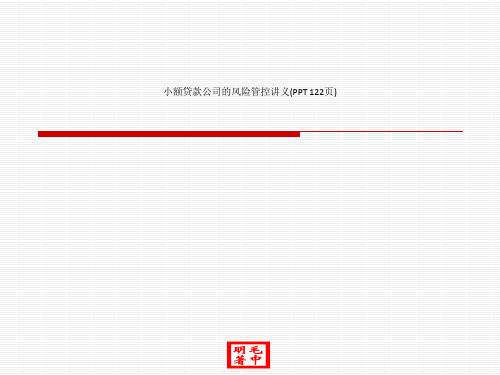 小额贷款公司的风险管控讲义(PPT 122页)_12214