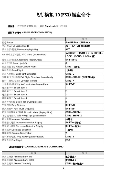 飞行模拟10(FSX)键盘命令