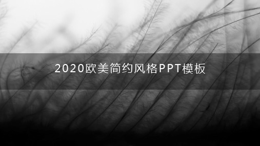 2020欧美简约风格PPT