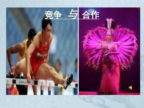 八年级政治下册 第十一课 竞争与合作课件 人教新课标版