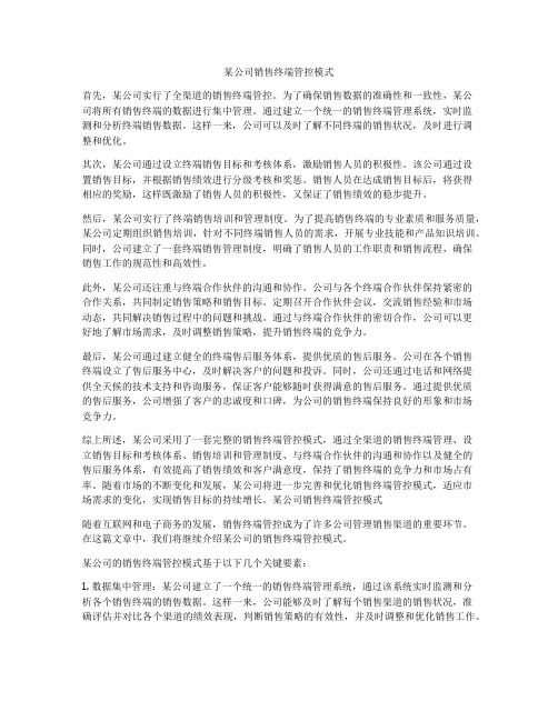 某公司销售终端管控模式