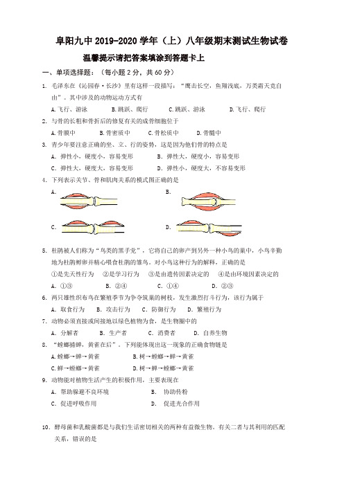 2019秋安徽省阜阳市五校八年级上册第一学期期末考试生物试卷