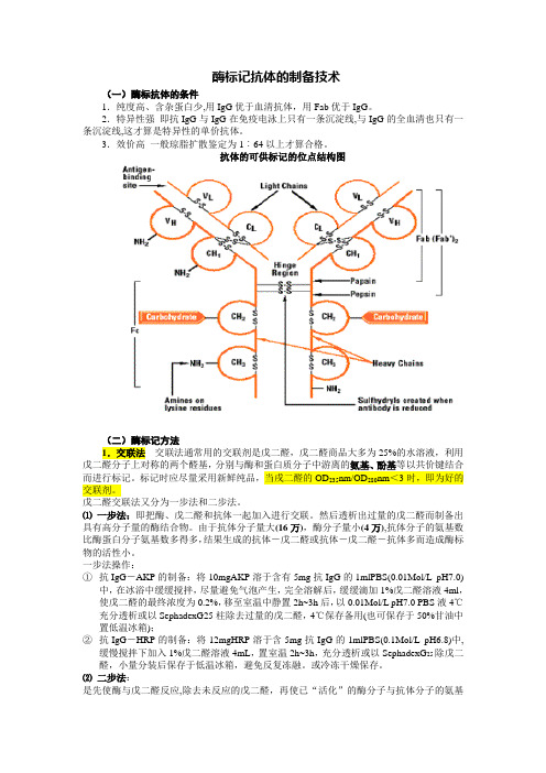 酶标记抗体的制备技术