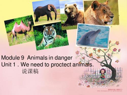 module 9 unit 1 animal in danger 说课