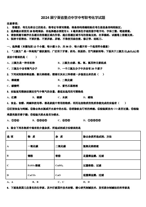 2024届宁夏省重点中学中考联考化学试题含解析