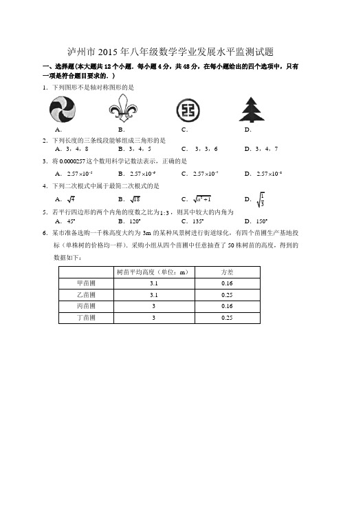 泸州市2015年八年级数学测试题