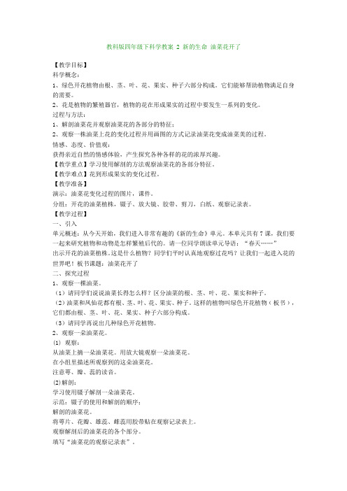 教科版四年级下科学教案-2-新的生命-油菜花开了