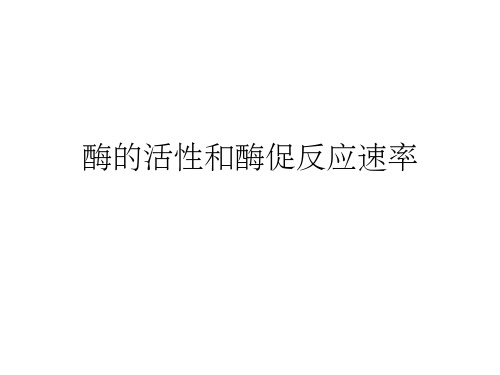 酶的活性和酶促反应速率ppt课件