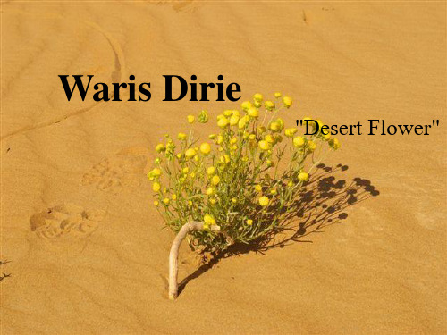 Waris Dirie(沙漠之花)