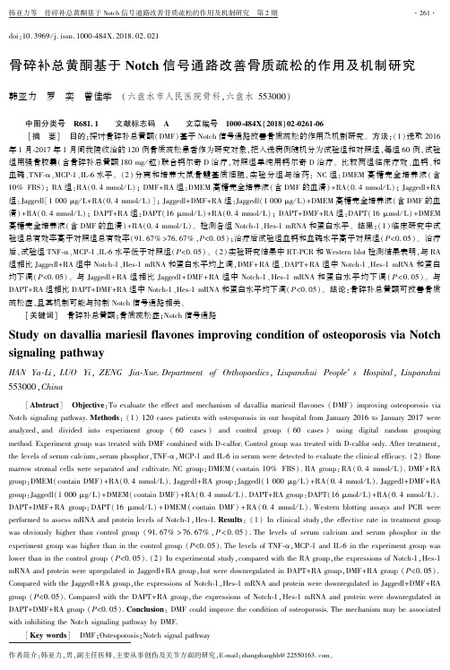 骨碎补总黄酮基于Notch信号通路改善骨质疏松的作用及机制研究