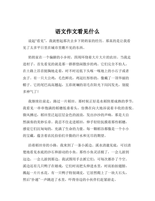 语文作文看见什么