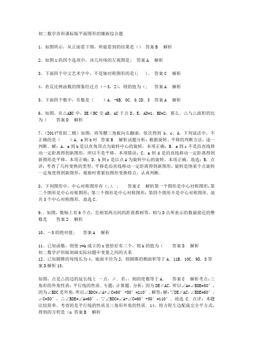 初二数学苏科课标版平面图形的镶嵌综合题