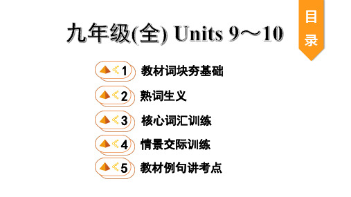 人教版中考复习21. 九年级(全) Units 9～10