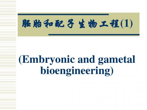 胚胎和配子生物工程PPT课件