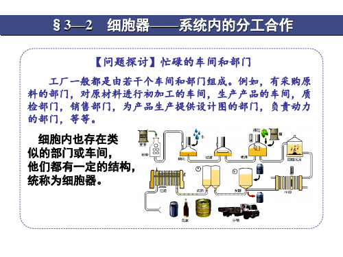 细胞器-系统内的分工合作资料