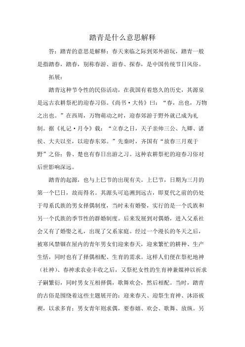 踏青是什么意思解释