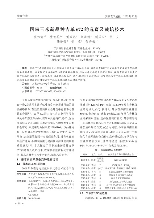 国审玉米新品种吉单672的选育及栽培技术