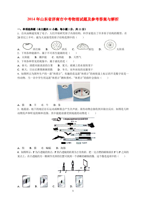 2014年山东省济南市中考物理试题及参考答案(word解析版)